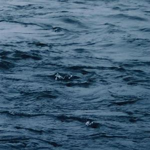 变态摸🍑揉搓直播
